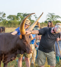 Emburara Farm Lodge