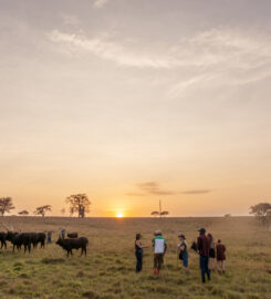 Emburara Farm Lodge